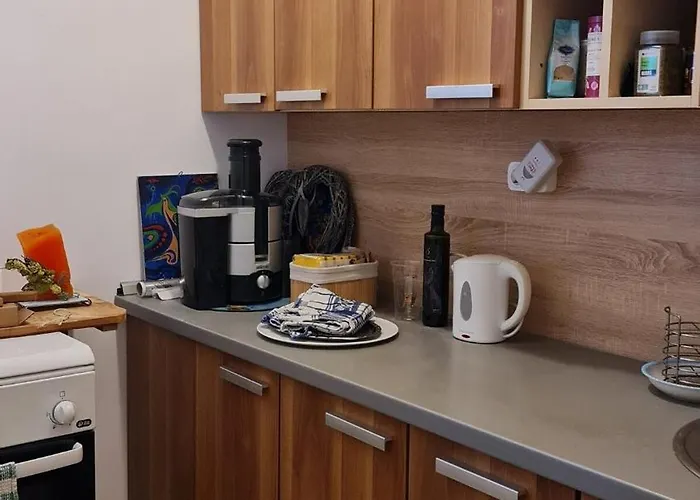 Apartment In City's Heart Timisoara