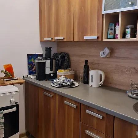 شقة In City's Heart تيميشورا